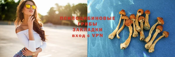амф Белоозёрский