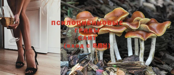 амф Белоозёрский