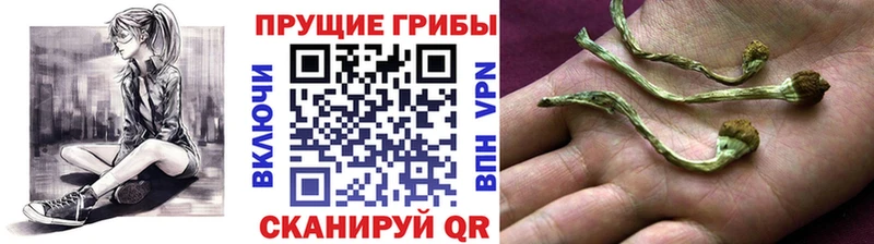 ссылка на мегу ссылка  Окуловка  Псилоцибиновые грибы ЛСД 